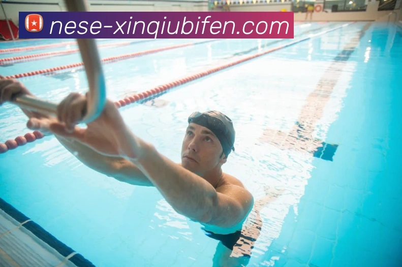 新球精准分析平台生态图