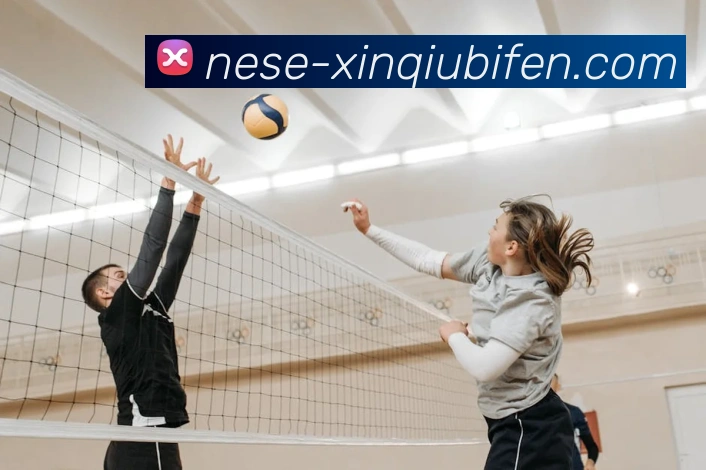 新球精准分析全站App